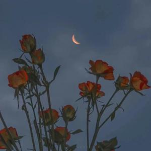 乱伦小说我和妹妹做爱
